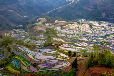 元阳,梯田,云南省,中国,露台别墅,哈尼族,雕塑家,锥形帽,建筑露台,昆明
