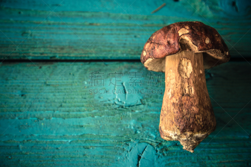 青绿色背景,木制,蘑菇,胡椒牛肝菌,porcini mushroom,食用菌,留白,素食,配方,乡村风格