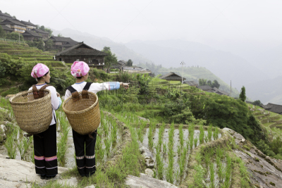 壮族,女孩,龙脊梯田,龙胜,桂林,风景,亚洲人种,人,稻田,非都市风光