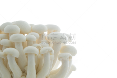 姬菇,白色,自然,水平画幅,素食,无人,山毛榉树,有机食品,生食,白色背景