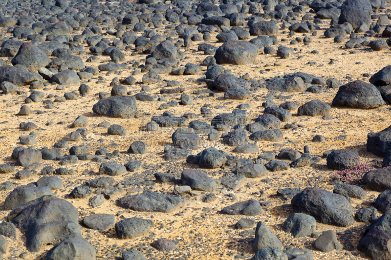 干的,石头,熔岩,海岸线,居住区,过时的,timanfaya national park,兰萨罗特岛,玄武岩,褐色