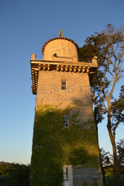 水塔,哈克尼斯纪念国家公园,常春藤,新英格兰,景观设计,公园,20世纪,植物园,园林,阴影