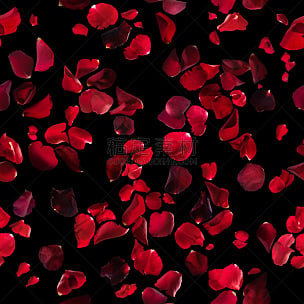红色,玫瑰花瓣,黑色背景,纹理,式样,玫瑰,方形画幅,黑色,花纹,花瓣