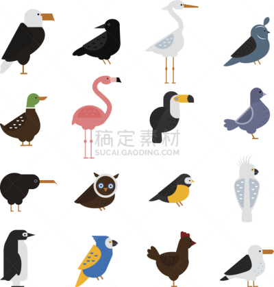 鸟类,矢量,绘画插图,分离着色,啼叫,松鸡,巨嘴鸟,乌鸦,火烈鸟,孔雀