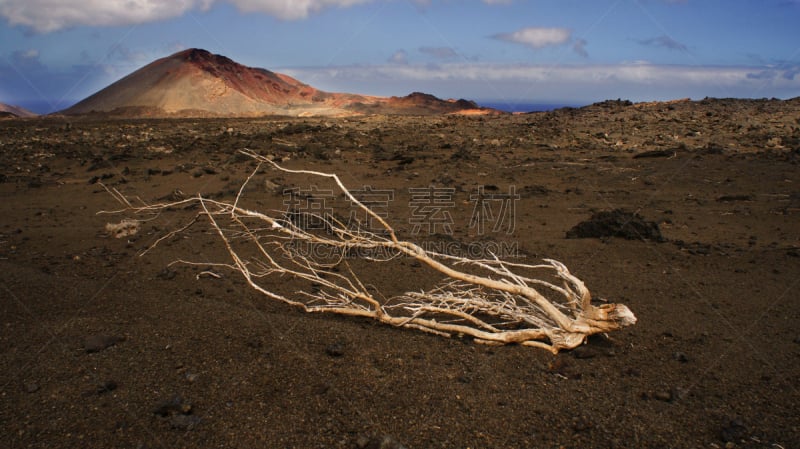 timanfaya national park,兰萨罗特岛,加那利群岛,西班牙,骆驼,天空,旅行者,夏天,干的,石头