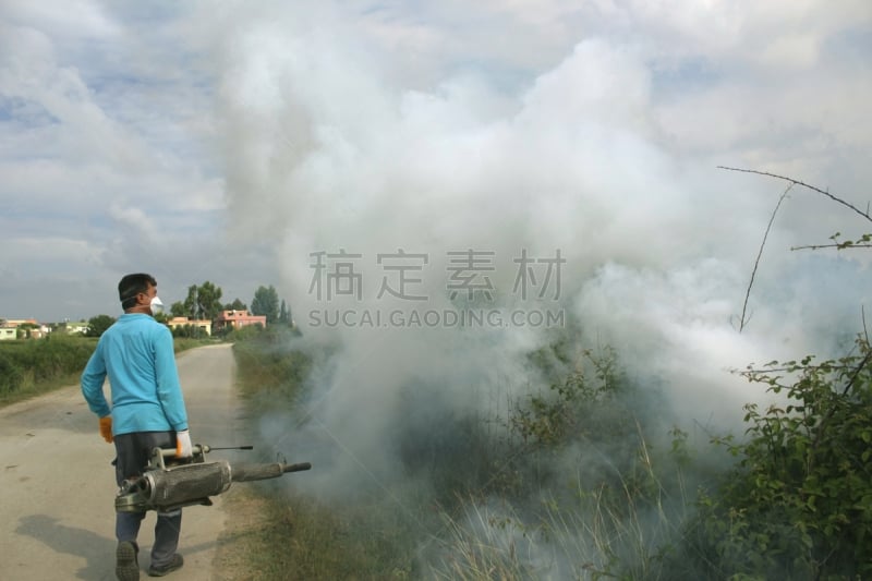 害虫,雾,黑蚊,蚊蝇,疟蚊,登革热,疟疾,害虫根除者,眩晕的,蚊子