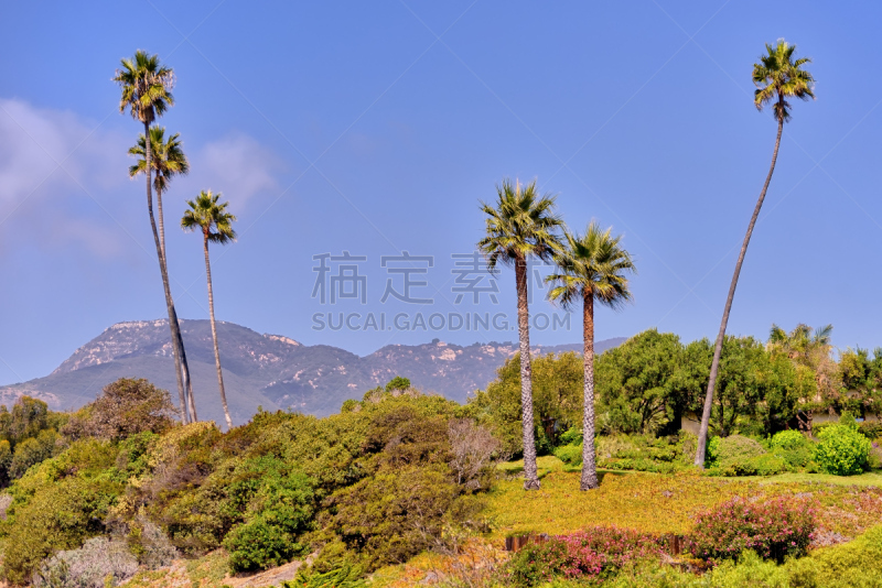 天空,海岸地形,棕榈树,地形,蓝色,山脉,南加利福尼亚,背景,美,美国西部