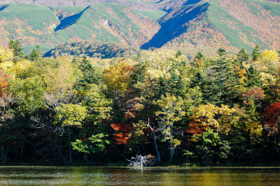 知床五湖,秋天,日本,北海道,黑云杉,罗臼岳,知床山,知床半岛,天空,水平画幅