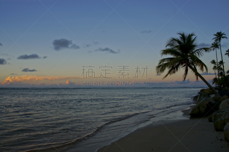 波多黎各,海滩,加勒比海,墨西哥湾暖流,圣胡安,格兰德河,水,天空,度假胜地,水平画幅