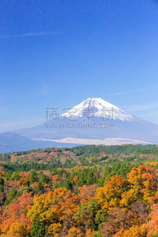 富士山,摄像机拍摄角度,山口,接力赛,富士箱根伊豆国立公园,垂直画幅,天空,里山,山,无人