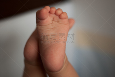 动物足,四肢,水平画幅,父母,腿,动物身体部位,举起手,停止手势,现代