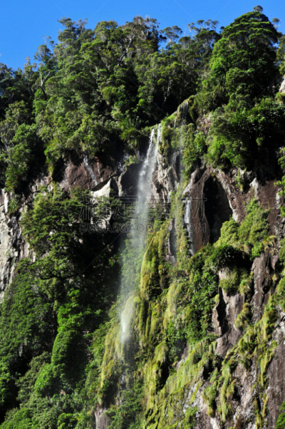 新西兰,峡湾,doubtful sound,milford track,主教法冠,米佛峡湾,垂直画幅,雪,瀑布,无人