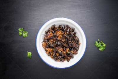 昆虫,食品,碗,蟋蟀,木制,桌子,泰国食品,全明星赛,褐色,水平画幅