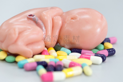 健康保健,模型,教室,动物胎儿,胚胎,莫尔德,烟曲霉菌,细菌垫,青霉菌,琼脂