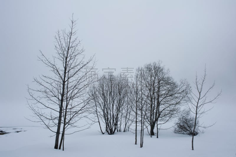 黑森林,雪,湖,塞满了的,德国,蒂蒂湖,巴登-符腾堡州,寒冷,水平画幅,冰河