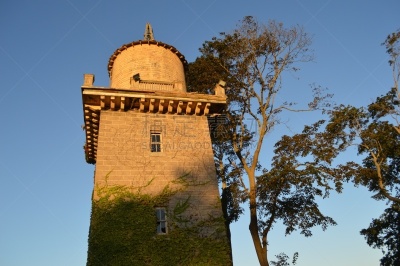 水塔,哈克尼斯纪念国家公园,常春藤,新英格兰,景观设计,公园,20世纪,植物园,园林,阴影