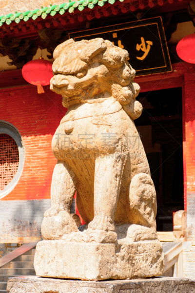 少林,雕像,狮子,寺庙,少林寺,世界遗产,垂直画幅,古董,武术