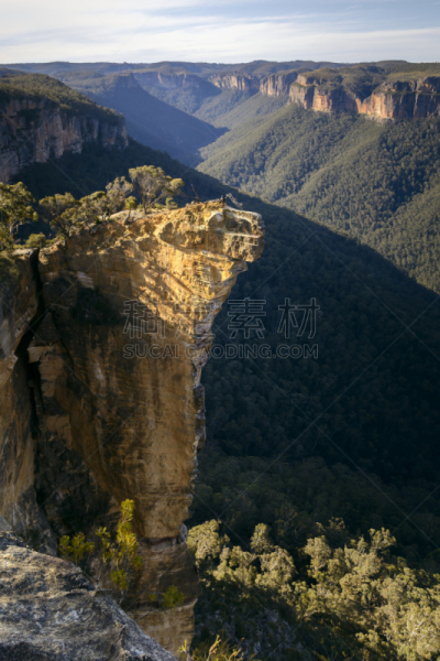 岩石,山脊,蓝山,著名景点,观测点,树干,背景,澳大利亚,夏天,户外