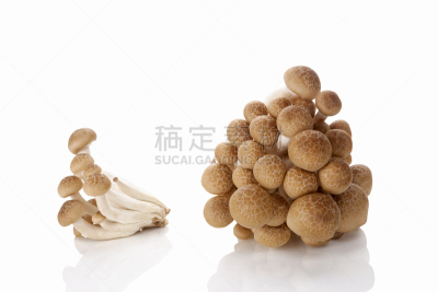 姬菇,饮食,自然,褐色,水平画幅,水果,有机食品,蘑菇,白色背景,小吃