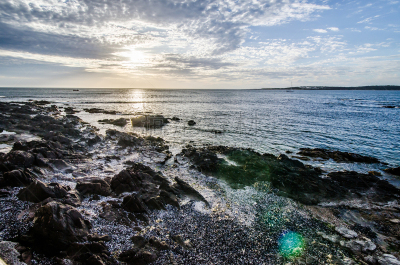 punta del este,黄昏,潮水坑,海岸线,岩石,夏天,户外,天空,潮汐,自然
