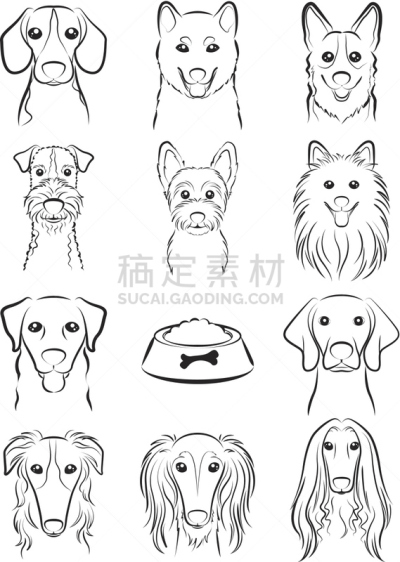 狗,线条画,硬毛猎狐犬,苏俄牧羊犬,阿富汗猎犬,萨卢基狗,德国魏犬,灰猎犬,威尔士柯基犬,狗食