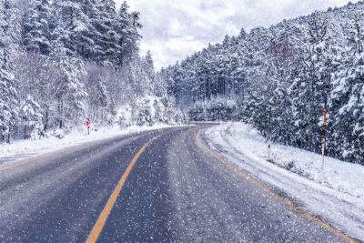 雪,白色,冬天,地形,土耳其,伊斯坦布尔,囊,冷,有包装的,树