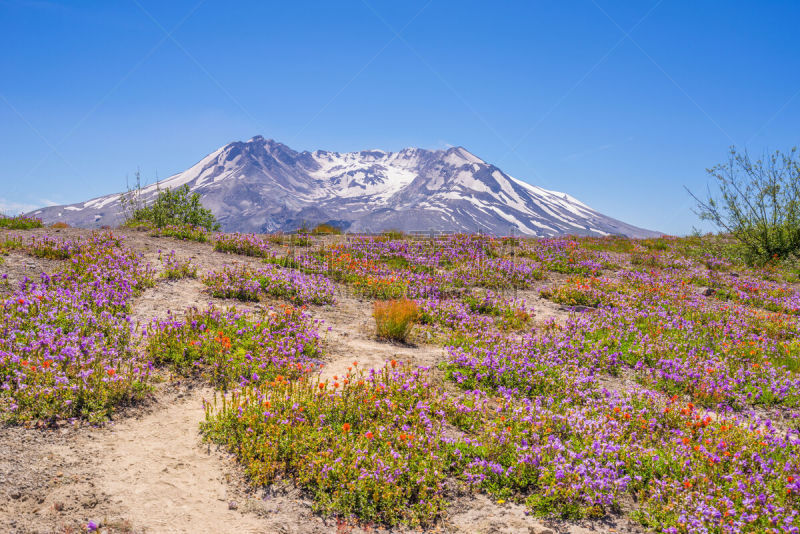 风景,火山,山谷,非凡的,小路,桨叉架船,山脊,天空,雪,夏天