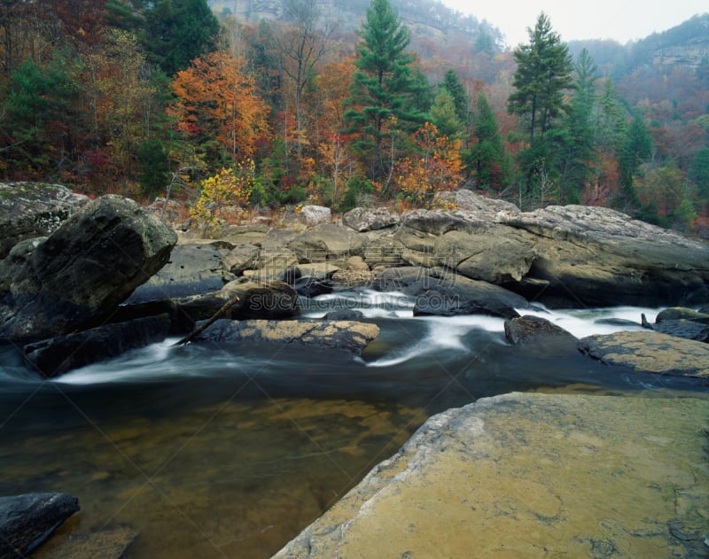 秋天,彩色图片,,river roaring fork,坎伯兰河,田纳西,水,水平画幅,无人