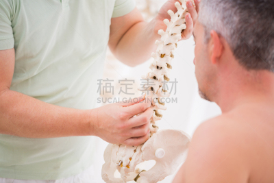 脊柱,动物脊椎骨,病人,椎间盘突出,脊骨神经科矫正,职业治疗,脊椎,身体受伤,人类骨架