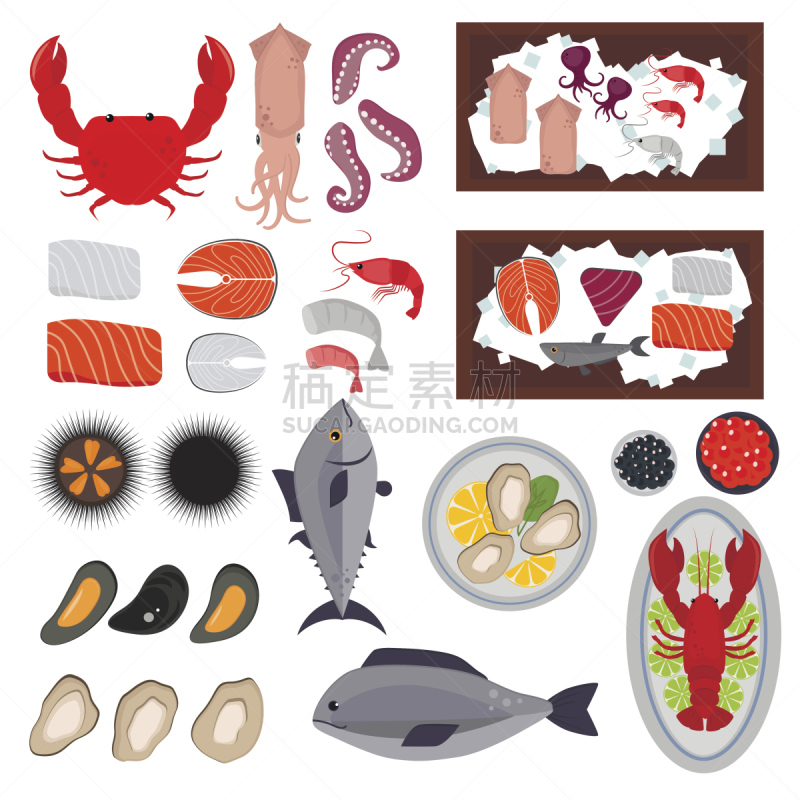绘画插图,海产,矢量,菜单,清新,食品,扇贝,餐具,餐馆,动物