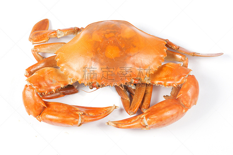 螃蟹,自然,煮食,水平画幅,膳食,海产,特写,高级西餐,海洋,红色