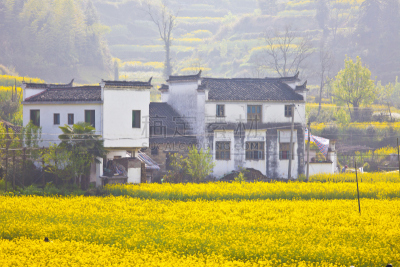 婺源,春天,中国,地形,江西省,拼块地形,水平画幅,无人,东亚,户外