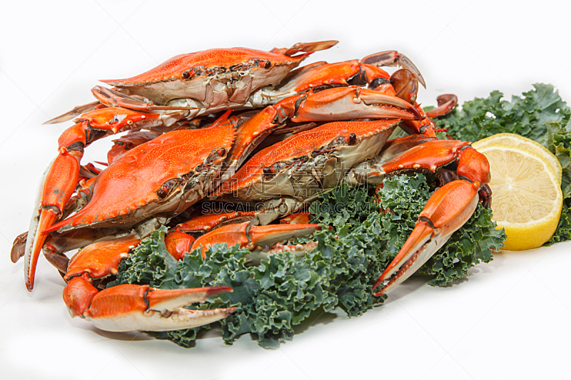 蒸菜,白色背景,蓝蟹,大洋城,煮食,水平画幅,膳食,海产,柠檬,螃蟹