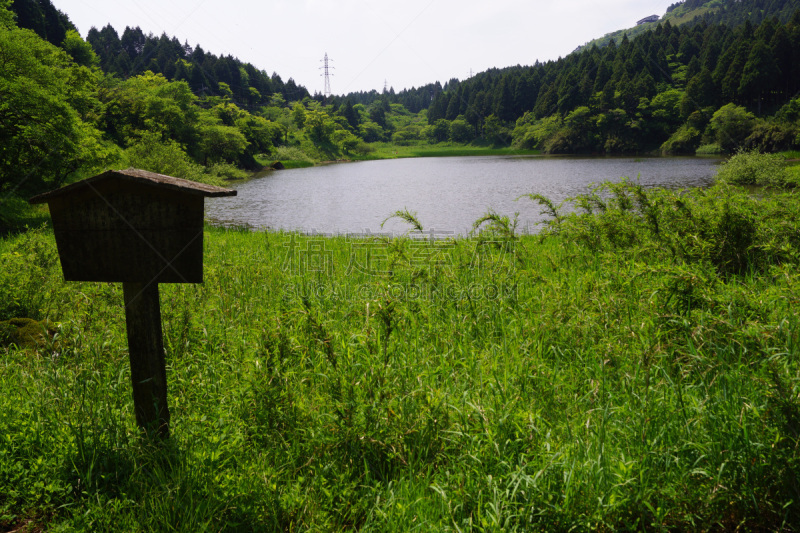 池塘,箱根湿地植物园,箱根园,富士箱根伊豆国立公园,自然,里山,水平画幅,地形,无人,户外