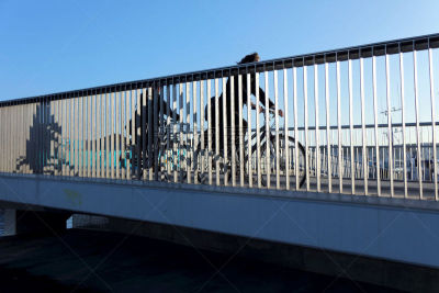 哥本哈根,丹麦,桥,峡谷岛,仰开桥,厄勒海峡地区,联排别墅,水,天空,新的