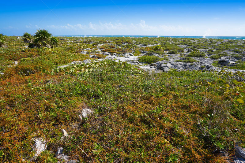 爱库马尔,玛雅文明,海岸线,墨西哥,海湾,水,天空,水平画幅,沙子,无人