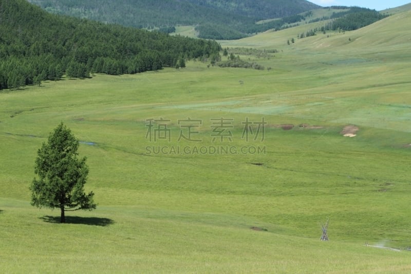 柳树,水平画幅,山,无人,户外,草地围场,东欧大草原,河流,宽的