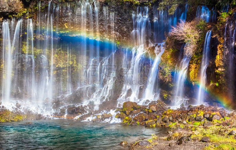 瀑布,shiraito falls,przewalski,彩虹,富士山,自然,水平画幅,无人,日本,湿