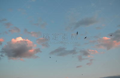 天空,黄昏,自然美,水平画幅,无人,鸟类,云,户外,城市之夏,日落谷