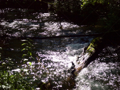 长野县,梓川,度假胜地,水平画幅,枝繁叶茂,夏天,户外,山,阿尔卑斯山脉,清新
