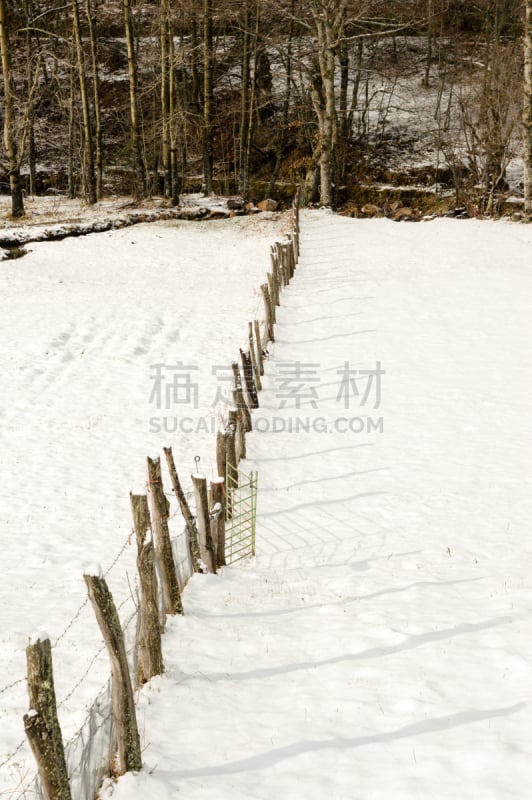 高处,篱笆,山,雪,个性,牧场,木制,清新,落下,分割