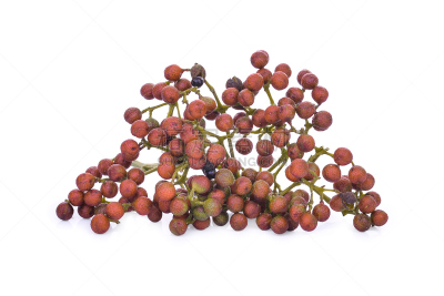 秦椒,四川省,水果,椒类食物,分离着色,鲻鱼,花椒属,水平画幅,特写,红色