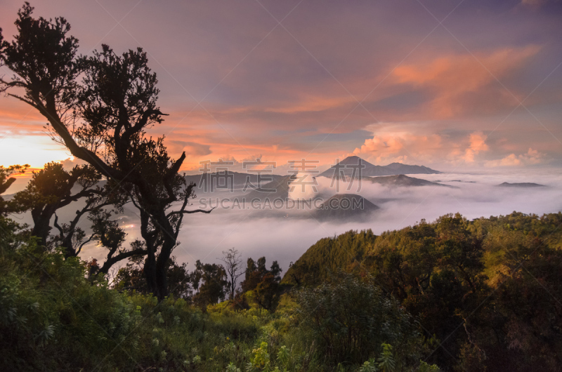 婆罗摩火山,秘密,bromo-tengger-semeru national park,东爪哇,旅游目的地,水平画幅,无人,户外,山,亚洲