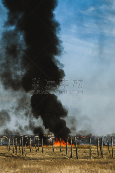 黑色,草,烟,火,火焰,力量,芦苇,田园风光,户外,夏天