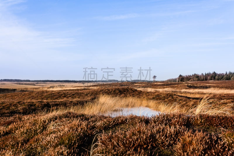 地形,自然,天空,草地,天堂,石南花,水平画幅,无人,户外,田地