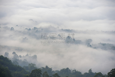 稻田,雾,早晨,格林威治村,有包装的,亚洲,自然,乡村,锥形帽,风