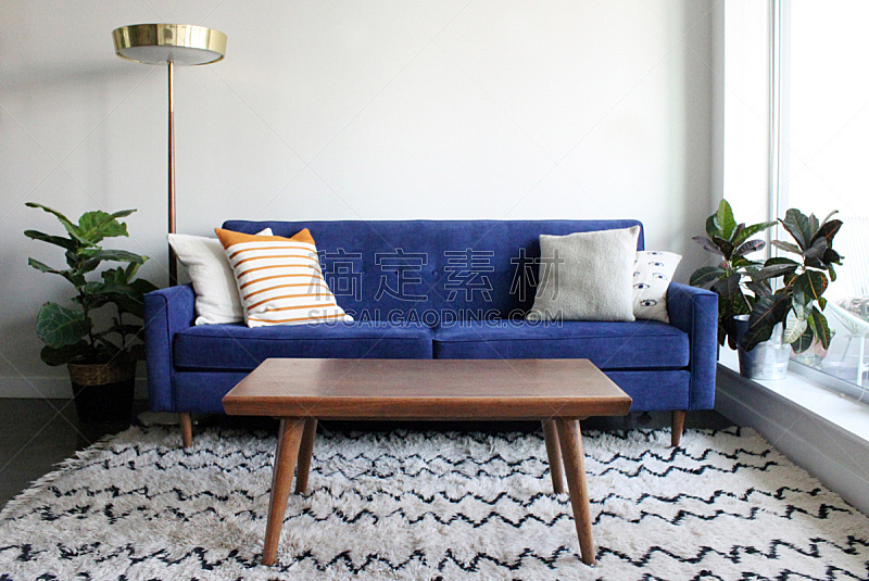沙发,蓝色,公寓,羊皮,极简构图,世纪,中间,美,水平画幅,无人