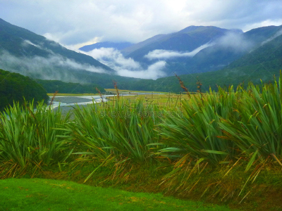 新西兰,自然美,新西兰南岛,doubtful sound,自然,云,图像,米佛峡湾,海洋,池塘
