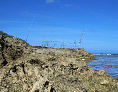 珊瑚,瓦胡岛,海滩,杆,一只动物,成一排,岩石,太平洋岛屿,多样,热带气候