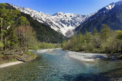 梓川,上高地国家公园,哈达卡山脉,早晨,夏天,中部山岳国立公园,松本,飞驒山脉,长野县,鲜绿色